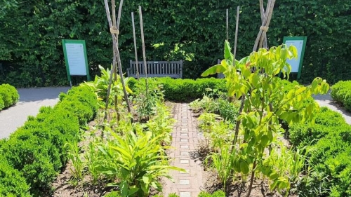 Celebrating African American Botanical Traditions with the NYBG